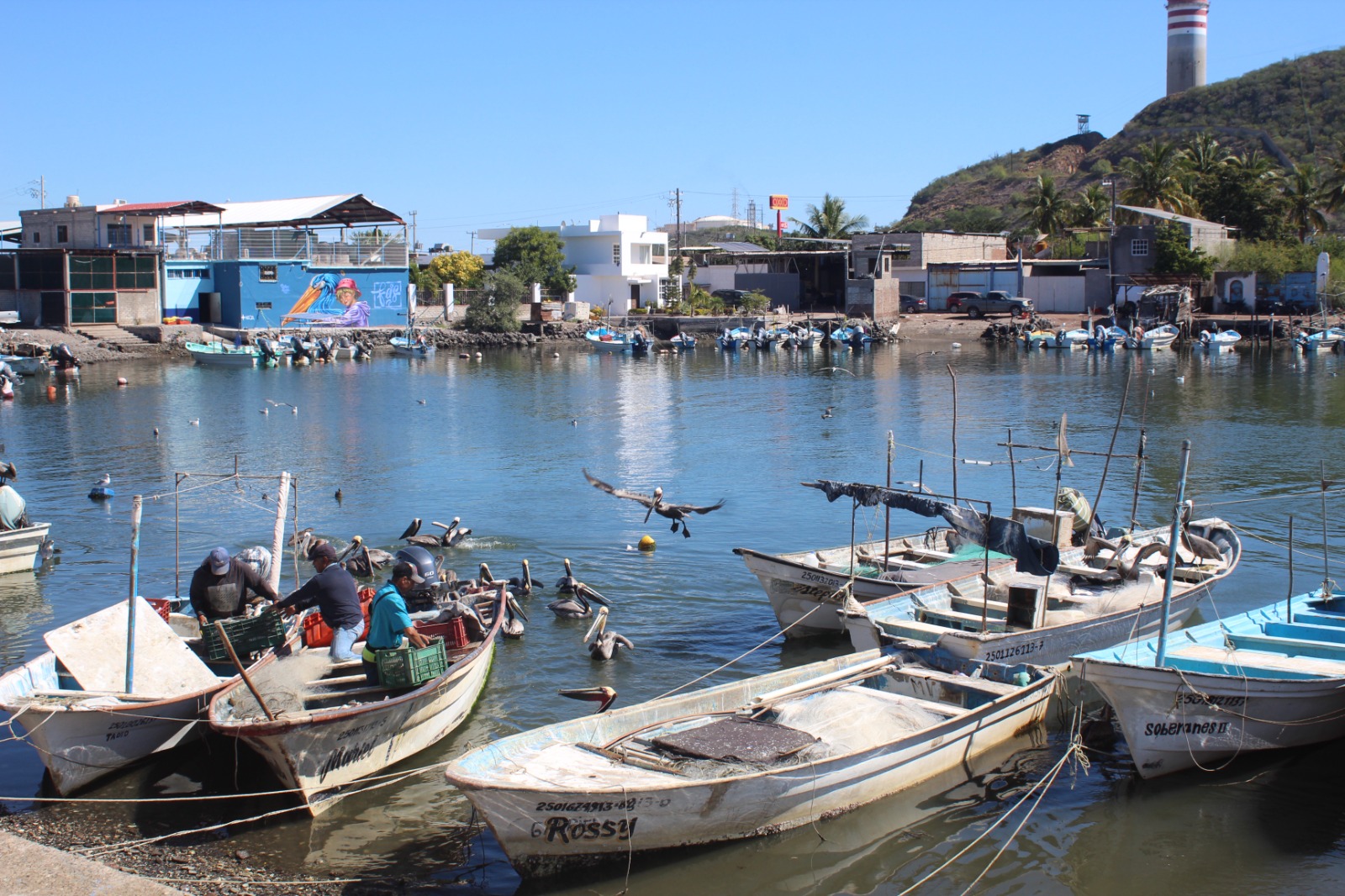 Pescadores de Topolobampo