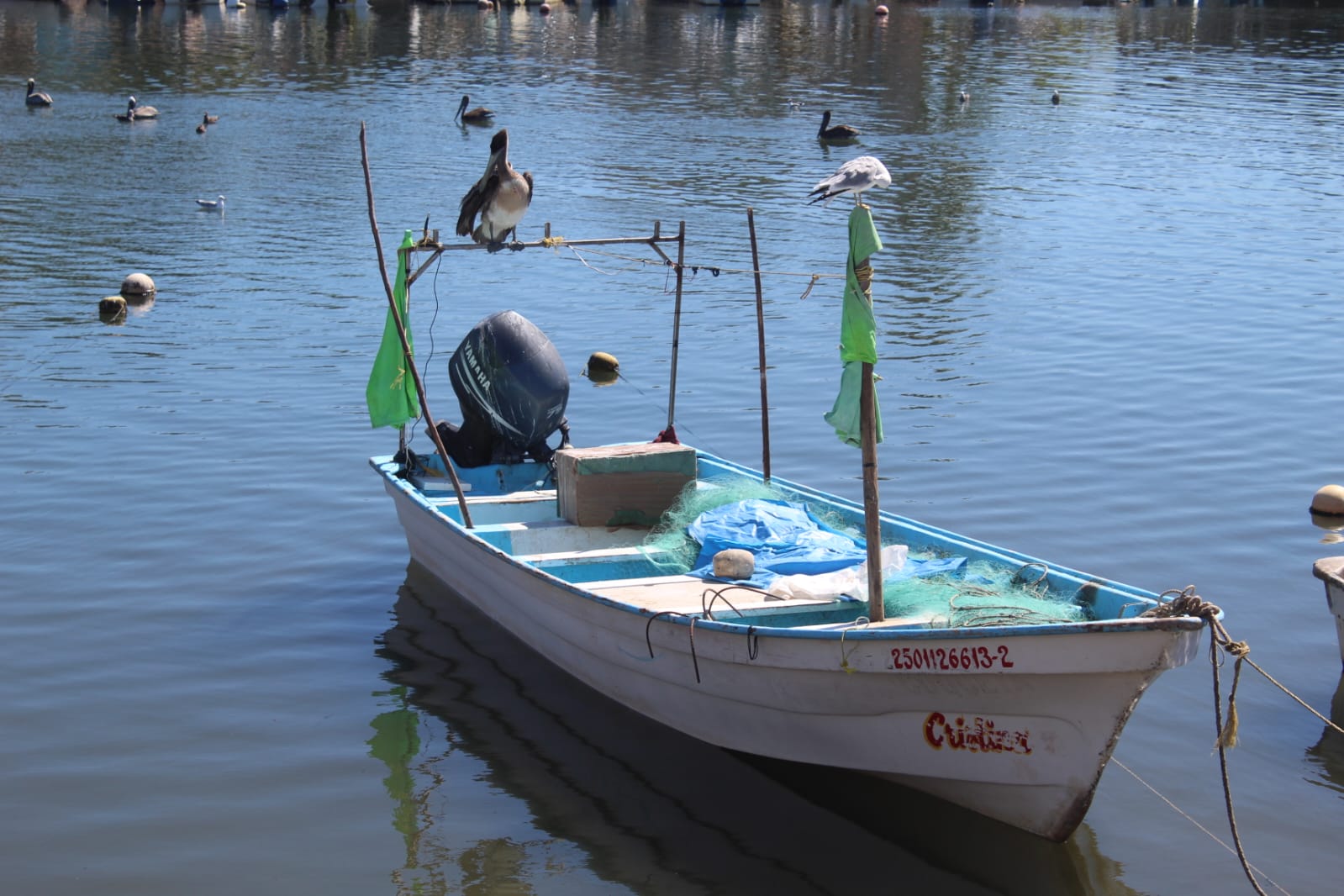 Pescadores indígenas