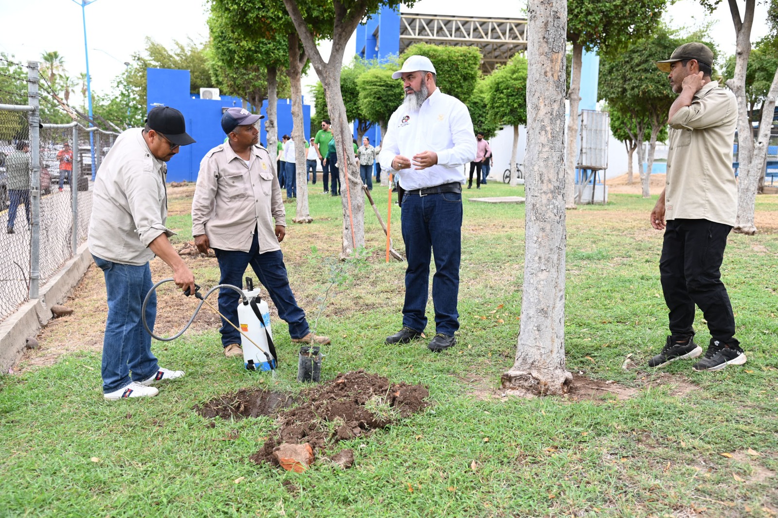 Plantan árboles en Ciudad Universitaria de la UAS en Culiacán