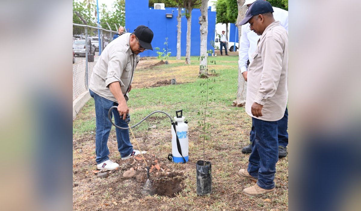 Plantan árboles en Ciudad Universitaria de la UAS en Culiacán