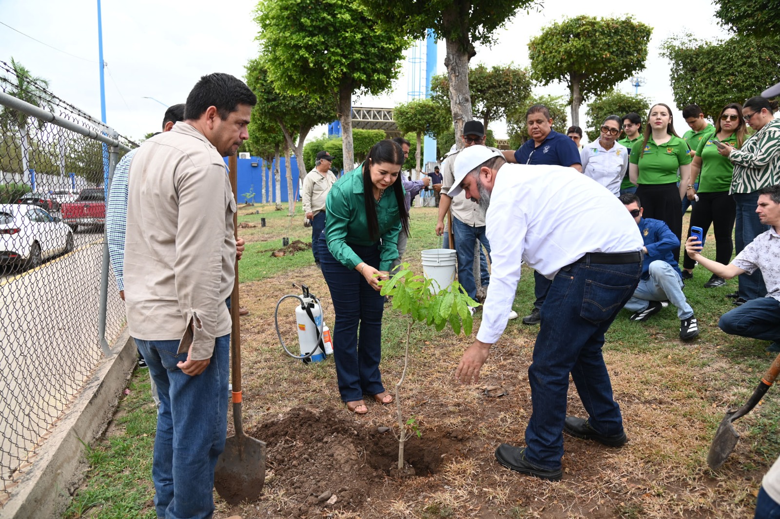 Plantan árboles en Ciudad Universitaria de la UAS en Culiacán