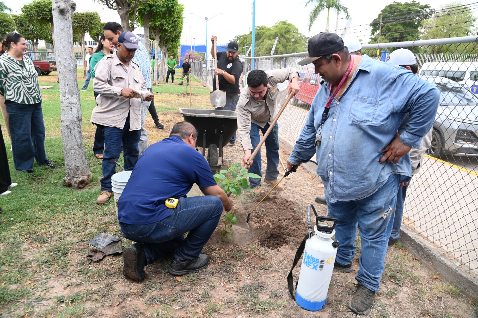 Plantan árboles en Ciudad Universitaria de la UAS en Culiacán