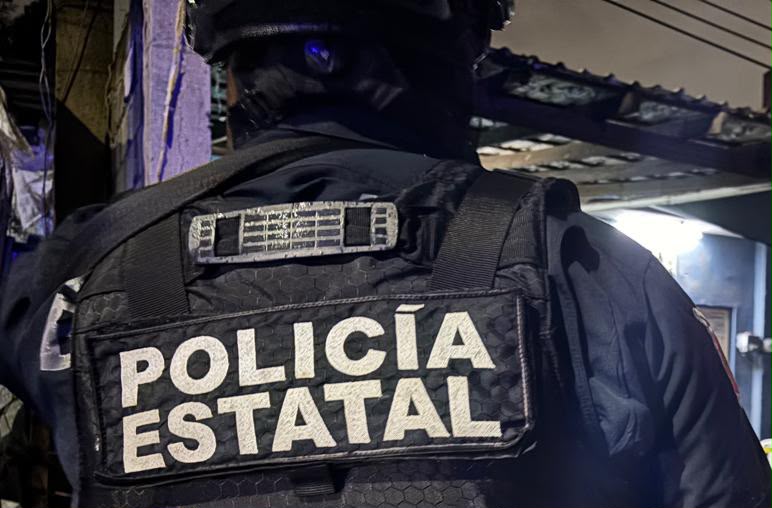 Policía estatal. Foto temática
