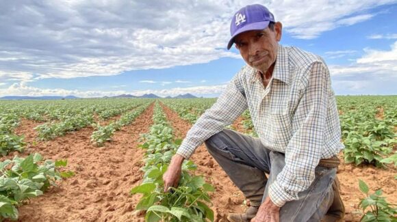 ¿A quiénes les toca pago en junio? Producción para el Bienestar recuerda el calendario de pagos de este 2026