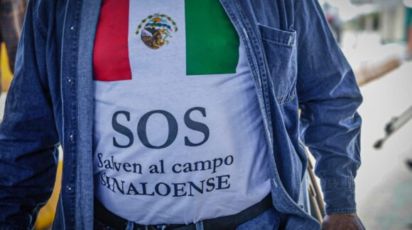 Por indiferencia de Sader, productores de maíz en Sinaloa saldrán a la calle para alzar la voz y reclamar sus pagos