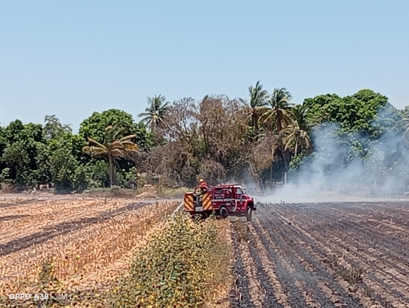 Quema de soca en Guasave