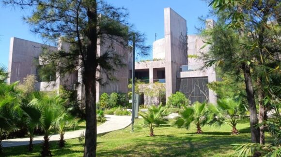 Reconstruyen con apoyo de Hospital de la Fauna del Gran Acuario caparazón de tortuga rescatada y la devuelven al mar en Mazatlán, Sinaloa