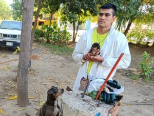 Rescatan a cachorritos en Guasave
