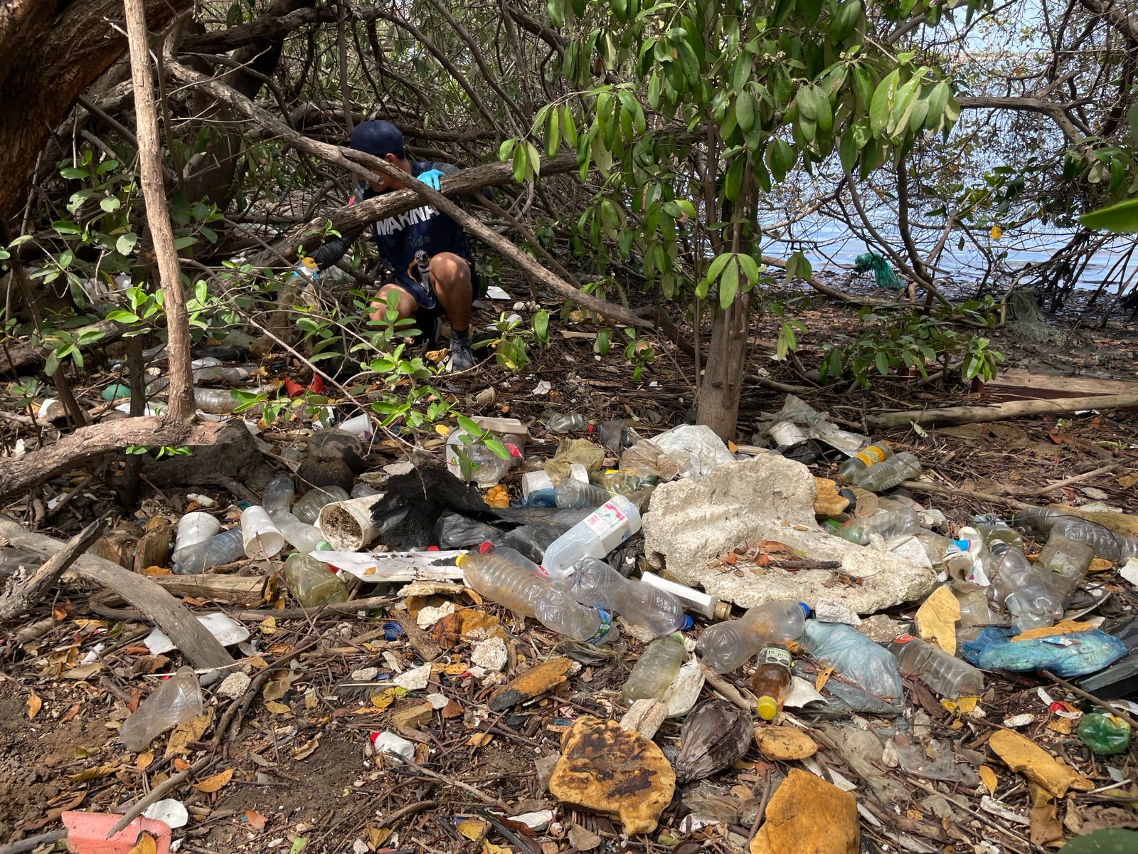 Marina retira más de 400 kilos de residuos del Estero de Urías
