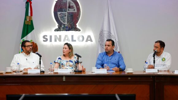 Mango sinaloense busca salir adelante; gobernadora promete apoyos y gestiones para rescatar al sector