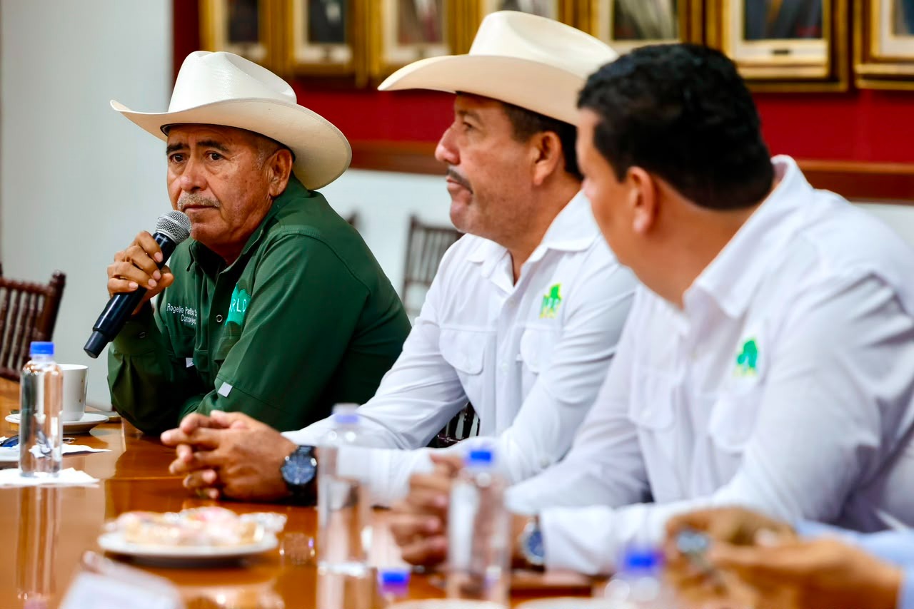 Yeraldine Bonilla se reúne con productores y empacadores de mango en Sinaloa