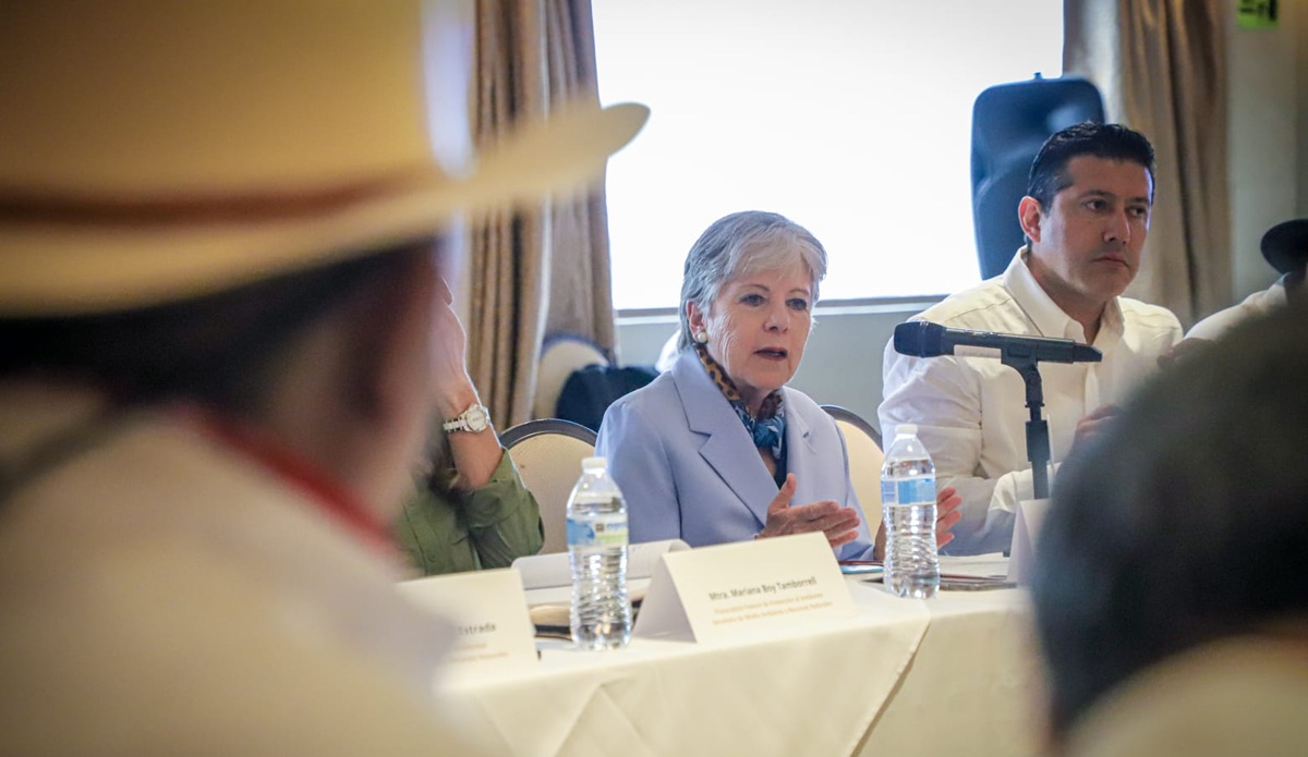 Alicia Bárcena, secretaria de Medio Ambiente y Recursos Naturales en México