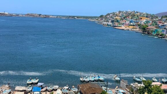 Conapesca cuida que GPO pueda contar con excluidores y cuide la norma ambiental en Topolobampo