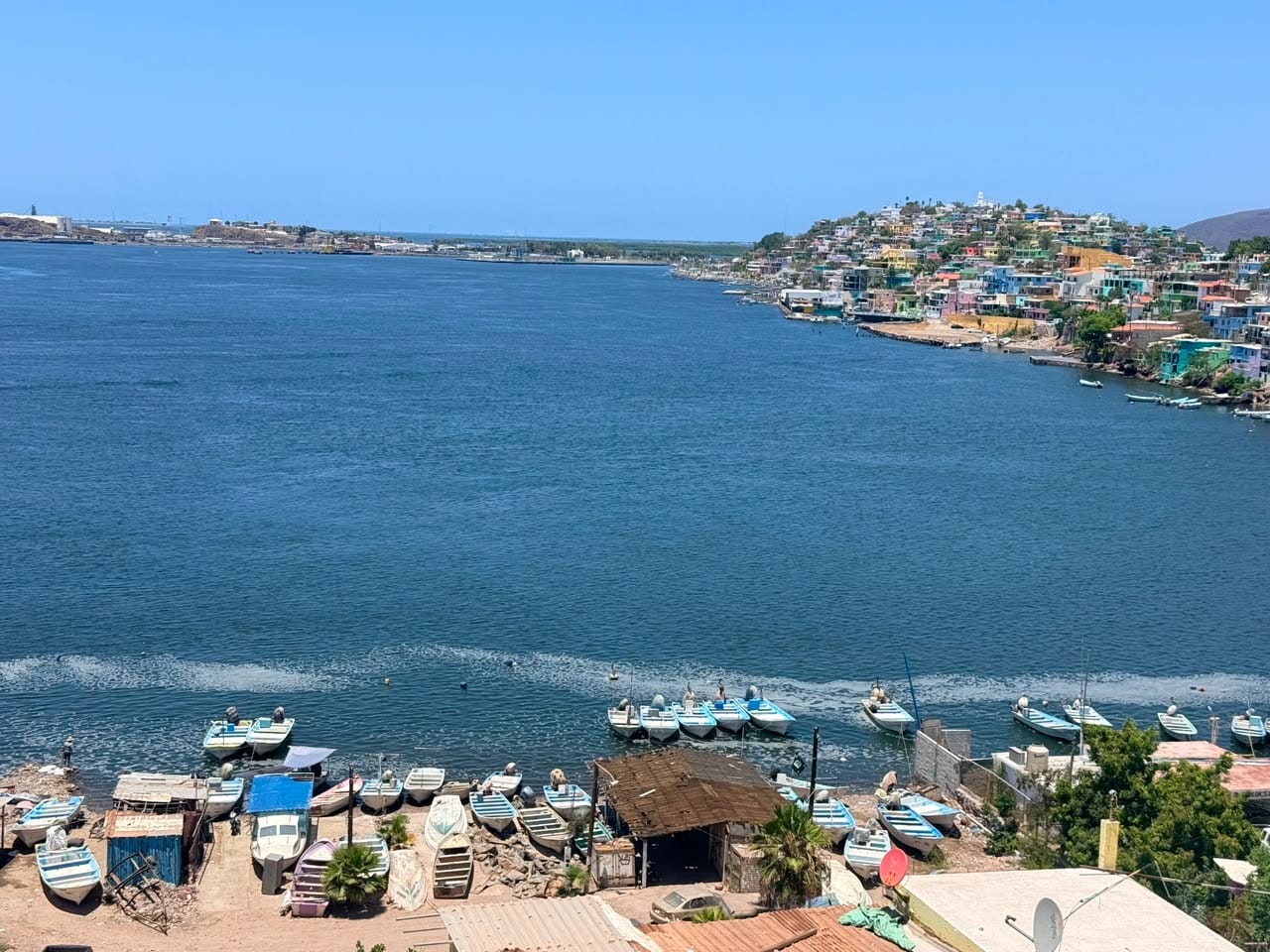 Conapesca cuida que GPO pueda contar con excluidores y cuide la norma ambiental en Topolobampo