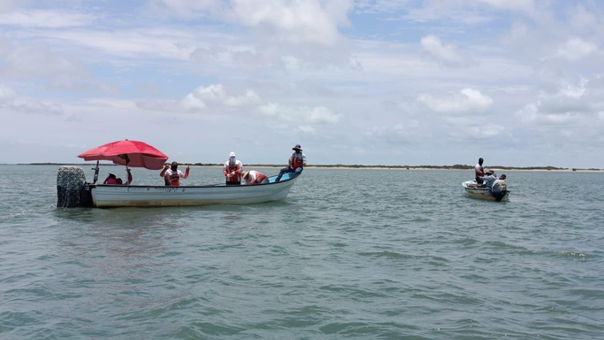 torneo de pesca en sinaloa