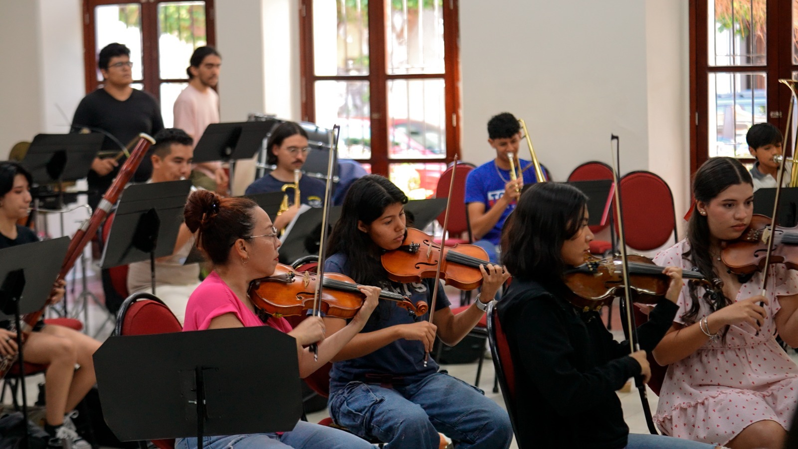 Violinistas