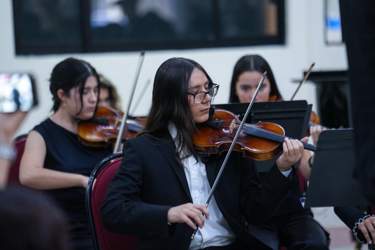 Violinistas