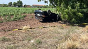 volcadura en palos blancos en guasave
