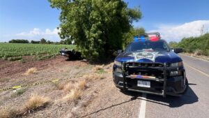 volcadura en palos blancos en guasave sin