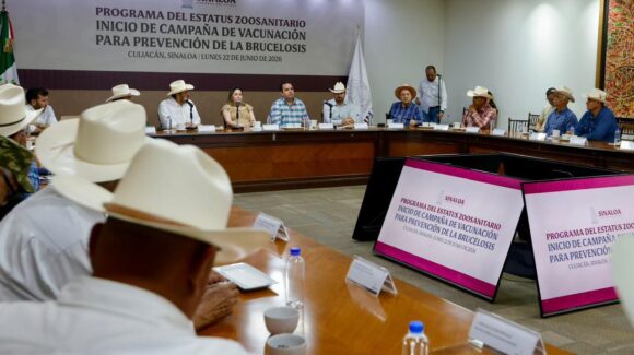 “Es una preocupación de este gobierno”; Yeraldine Bonilla inicia campaña contra la brucelosis bovina en Sinaloa
