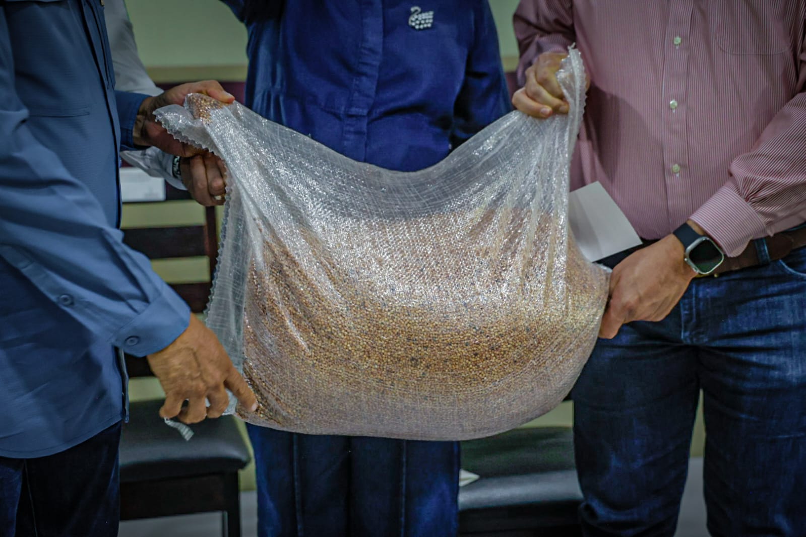 Arranca entrega de semilla de sorgo en Sinaloa