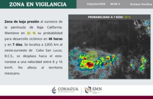 Zona de vigilancia