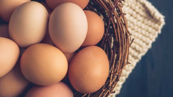 ¿Es malo comer huevo todos los días? Esto es lo que dicen los especialistas