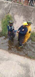Bomberos capturan cocodrilo en canal pluvial de Santa Fe, Mazatlán, tras reporte de vecinos 2