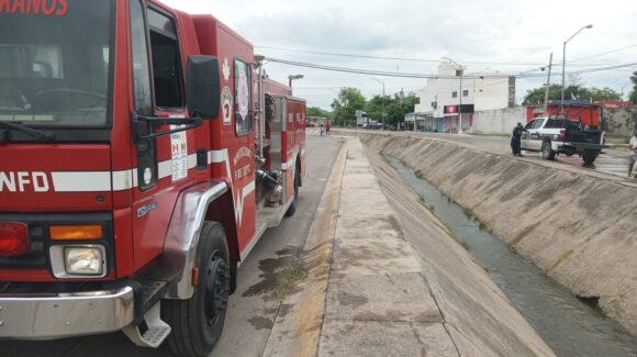 Bomberos capturan cocodrilo en canal pluvial de Santa Fe, Mazatlán, tras reporte de vecinos