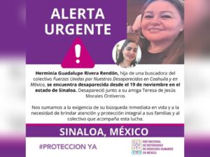 Búsqueda de Herminia 