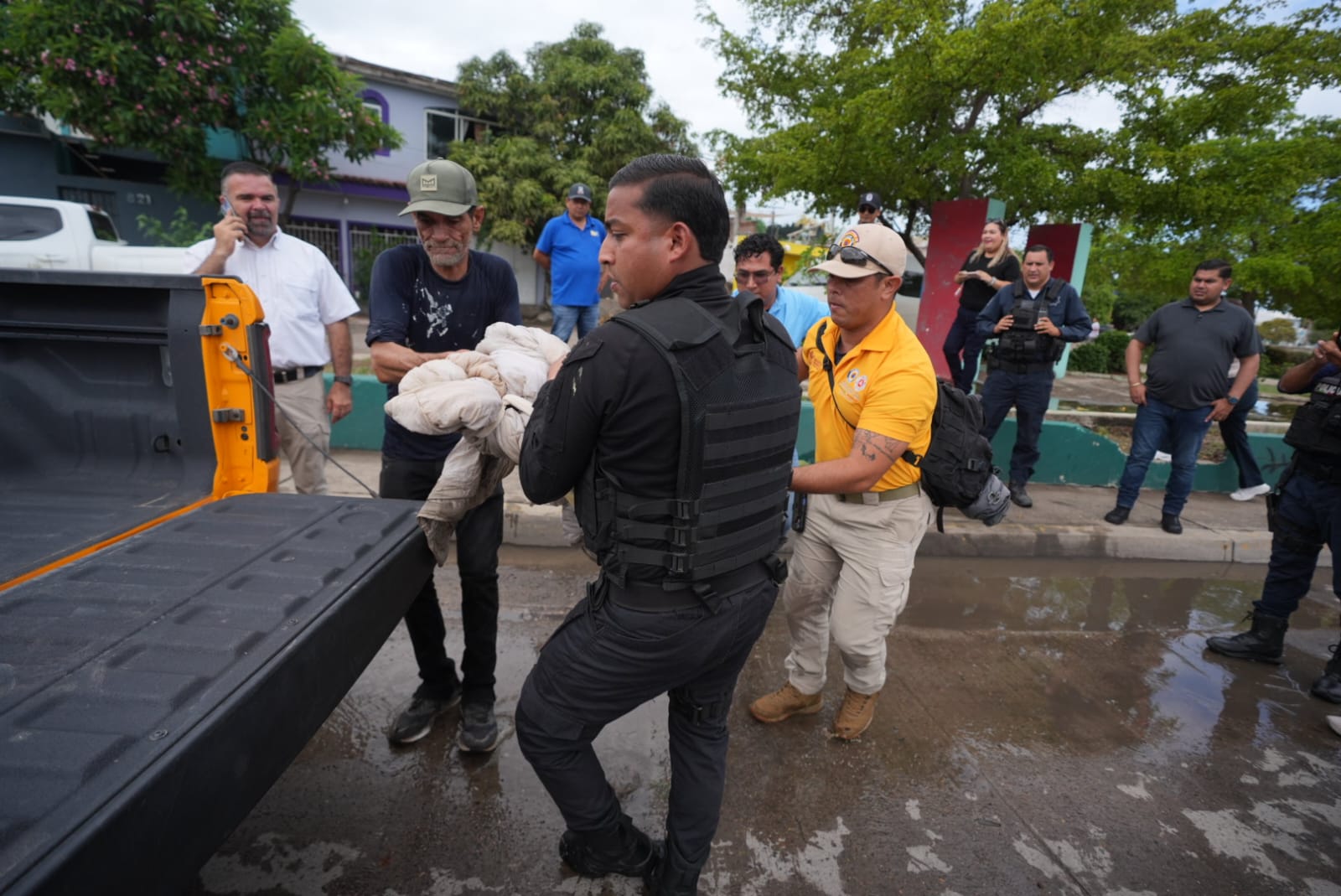 Cocodrilo sorprende al pasearse en Mazatlán