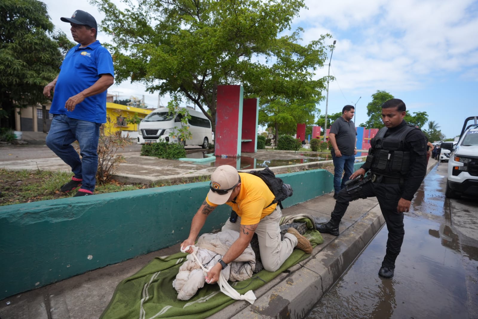 Cocodrilo sorprende al pasearse en Mazatlán