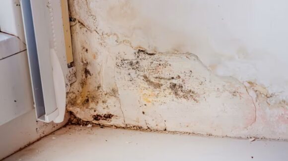 ¿Manchas de humedad en las paredes? Descubre por qué aparecen y cómo puedes prevenirlas