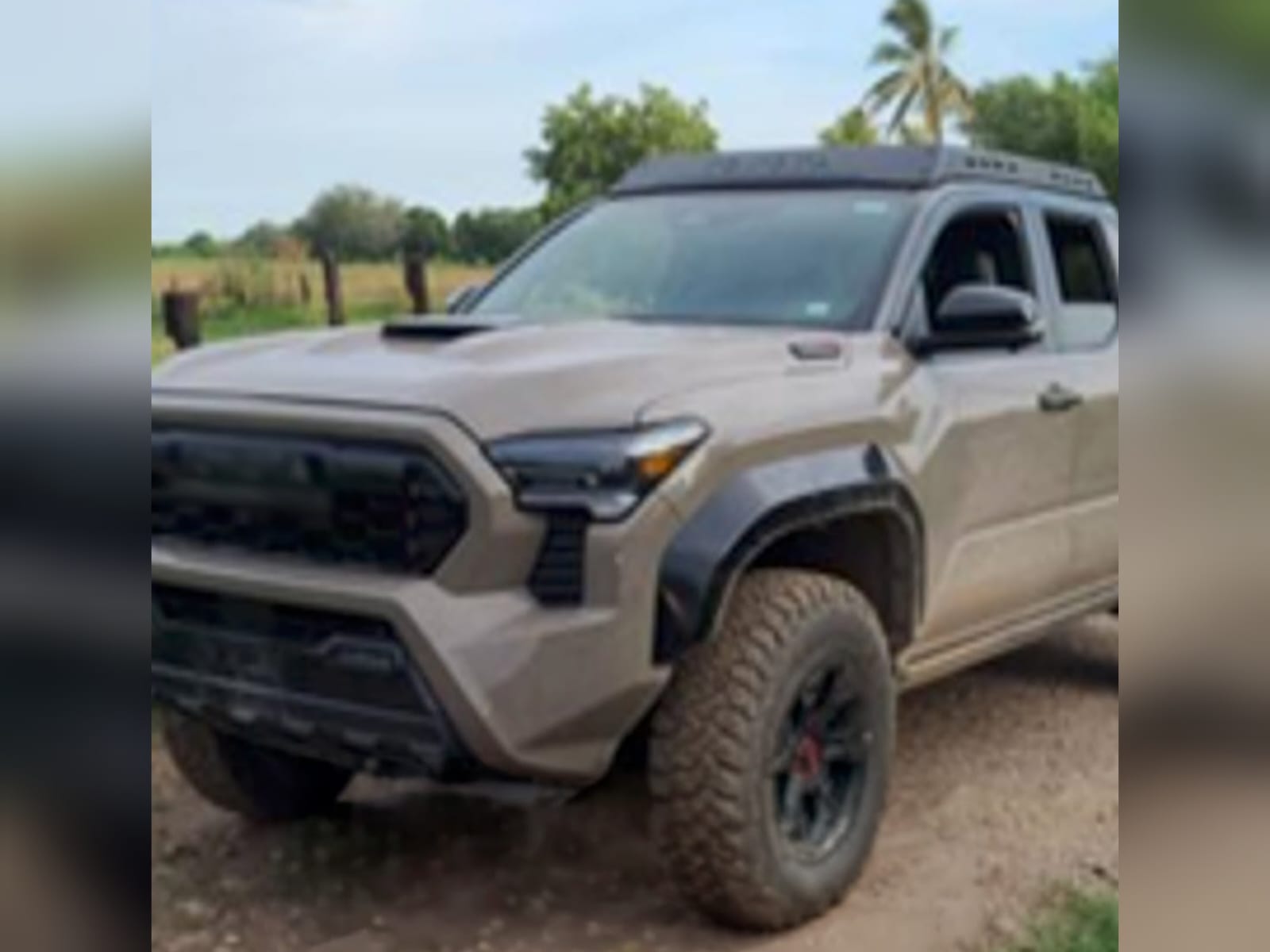 Con armas, droga y dinero, detienen a una mujer y tres hombres en Oso Viejo, Culiacán