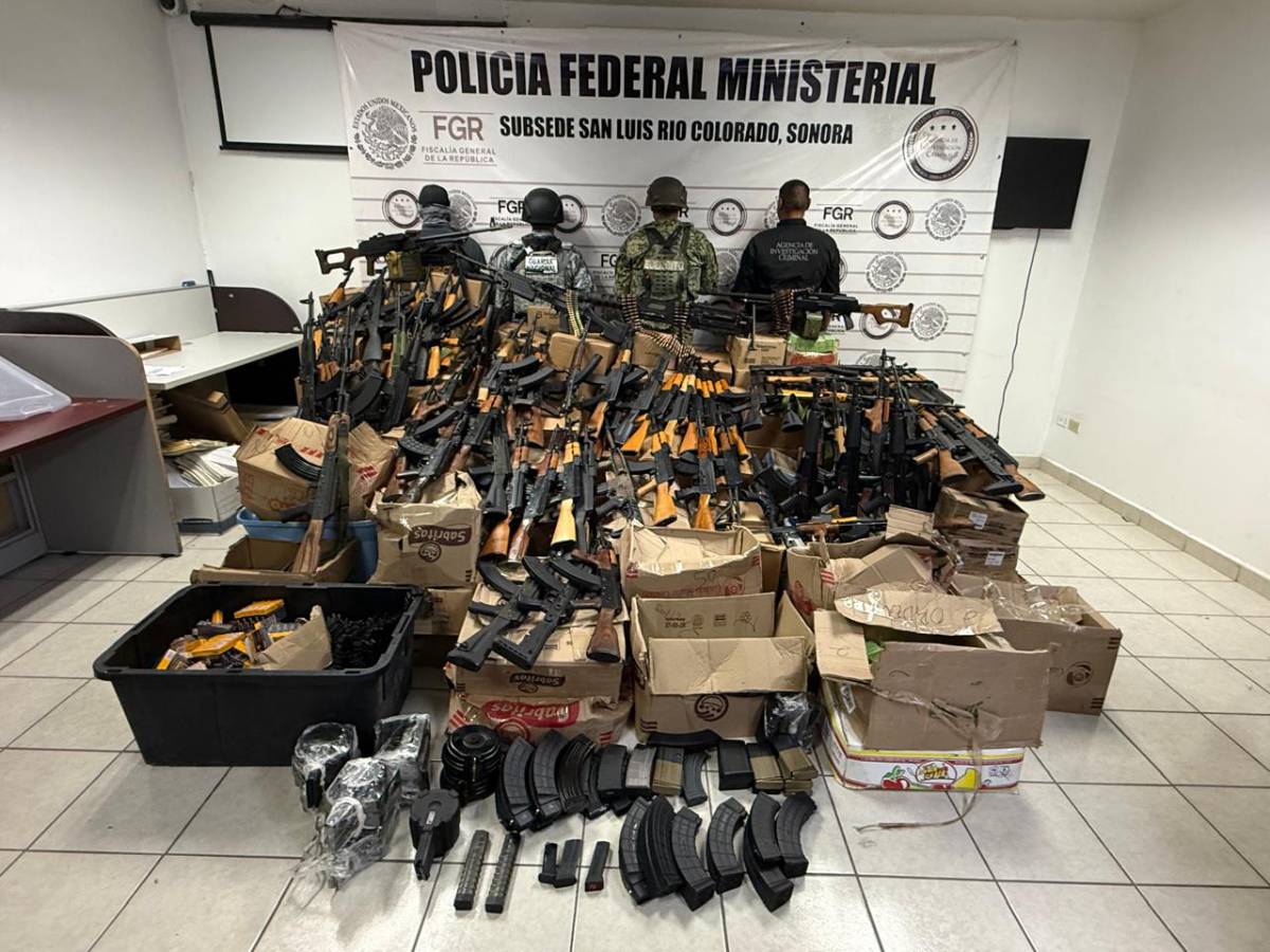 Decomisan más de 80 armas largas y casi 275 mil cartuchos en Sonora