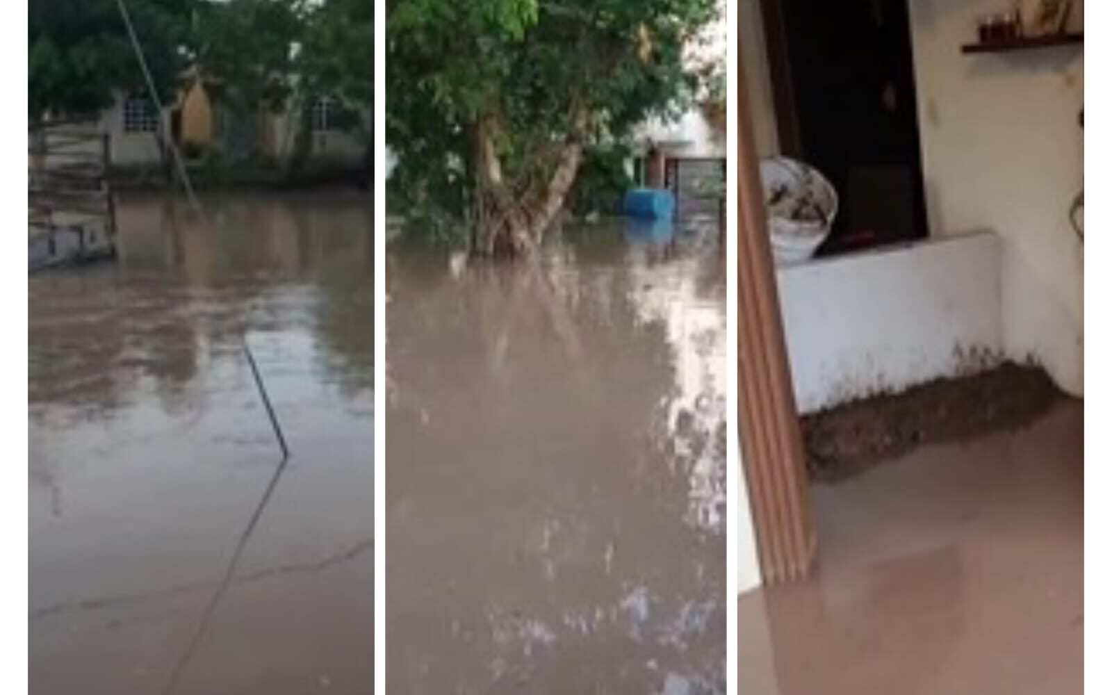 Desborde de arroyo deja viviendas inundadas en Guasave