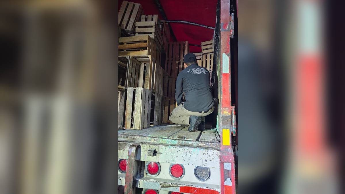 Detienen a una persona y aseguran más de una tonelada de mariguana en Tabasco