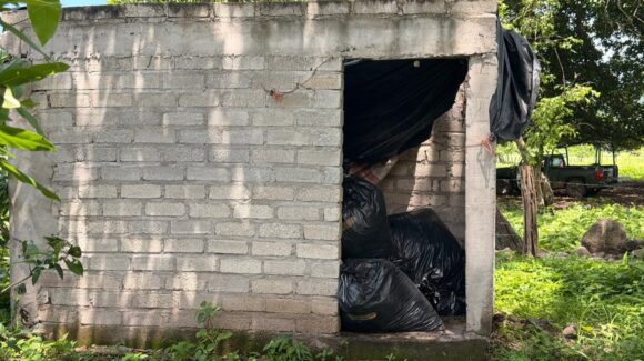 Ejército asegura 435 kilogramos de mariguana en Cosalá, Sinaloa; la droga fue incinerada