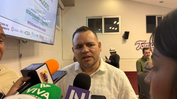 Descartan presencia del árbol kiri en Culiacán; Medio Ambiente mantiene vigilancia por especies invasoras