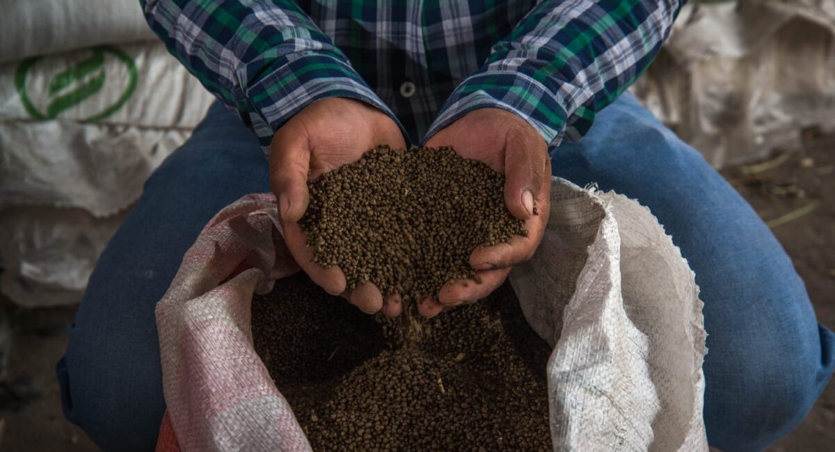 Productores del sur de Sinaloa están a espera que el gobierno cumpla su palabra y brinde fertilizantes y una podadora