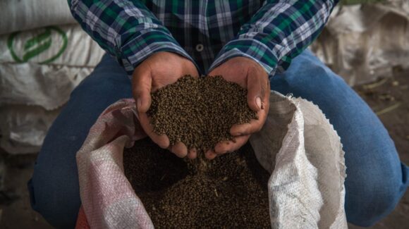Productores ahorrarán hasta 6 mil pesos por tonelada con planta de fertilizantes en Topolobampo: SADER