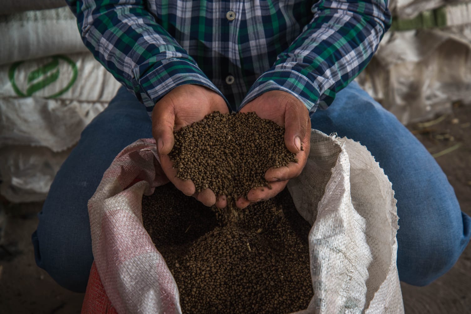 Fertilizantes para la siembra