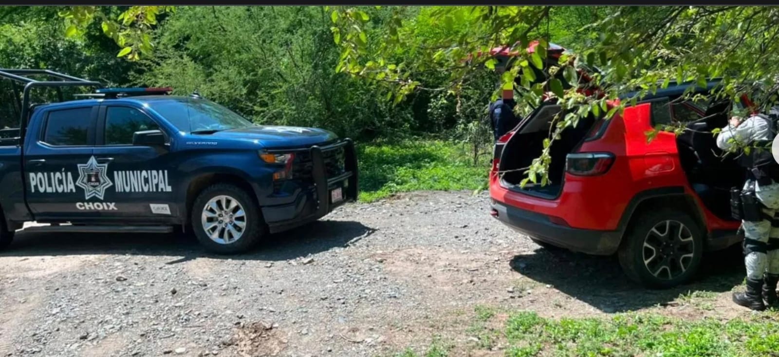 Fuerzas federales aseguran dos vehículos, armas largas y cargadores en El Fuerte y Choix, Sinaloa