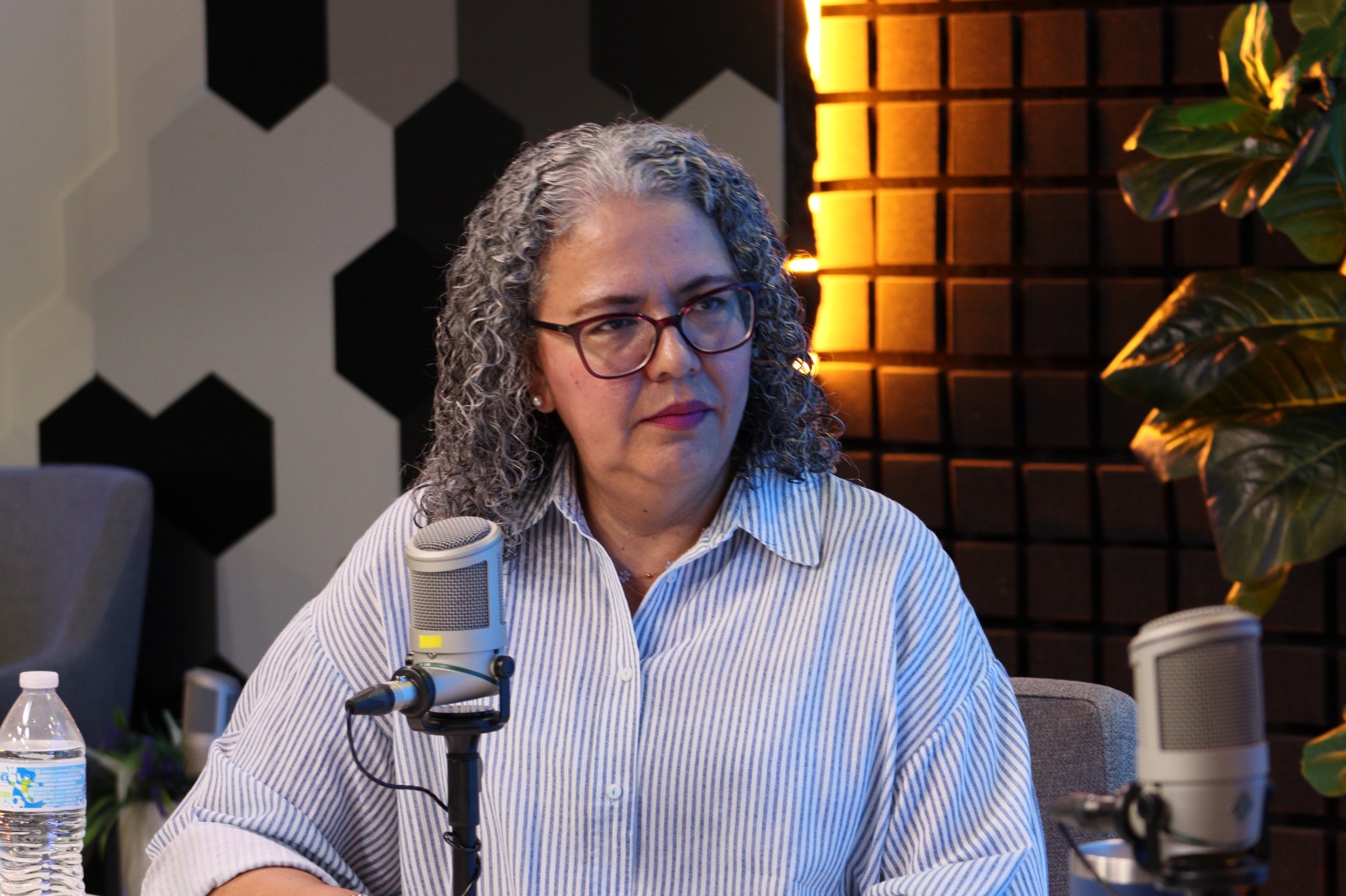 Graciela Domimguez en entrevista en Los Noticieristas