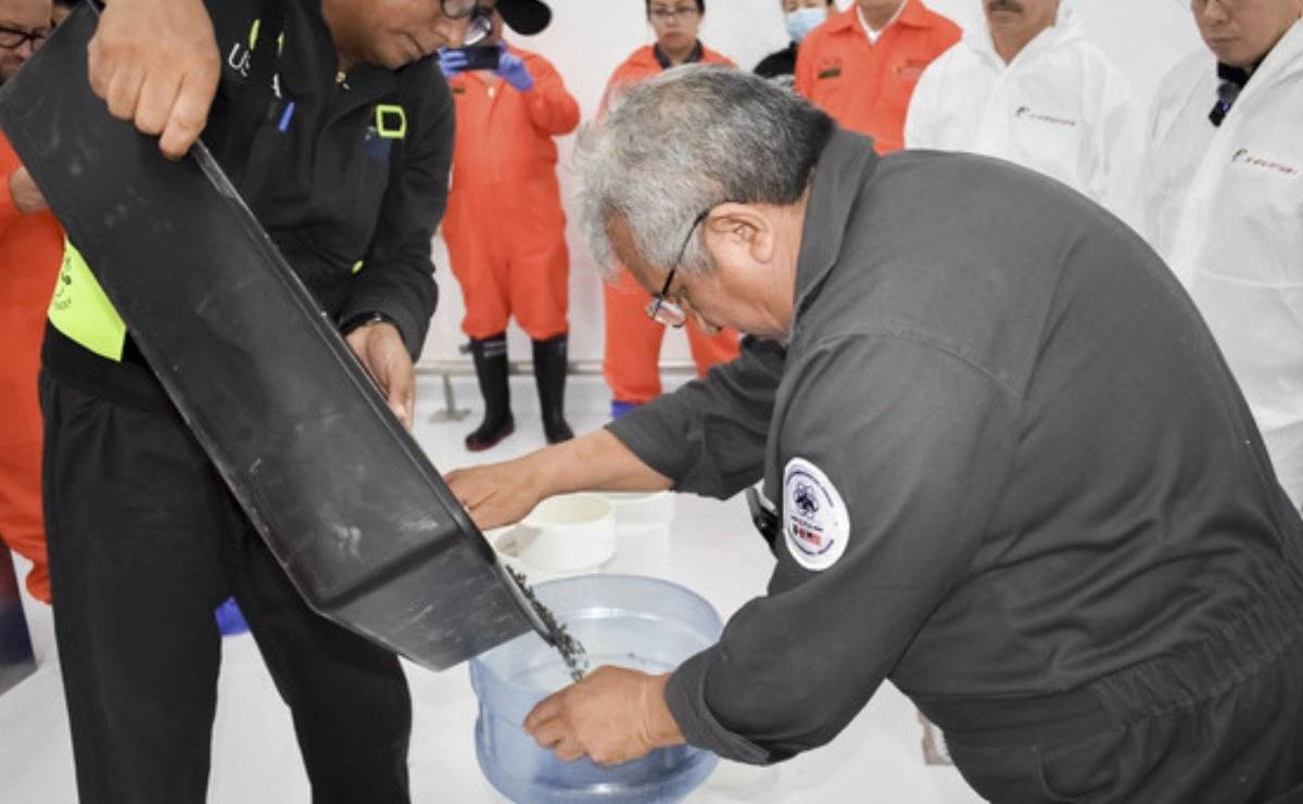 Liberan en Chihuahua primer lote de moscas estériles contra gusano barrenador