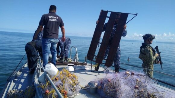 Pescadores extraen jaiba en periodo de veda; Inspectores de Conapesca capturaron a tres personas