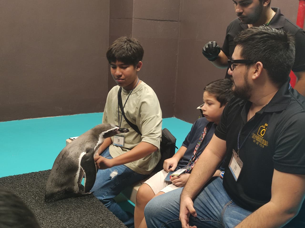 Pinguinos en Acuario de Mazatlán
