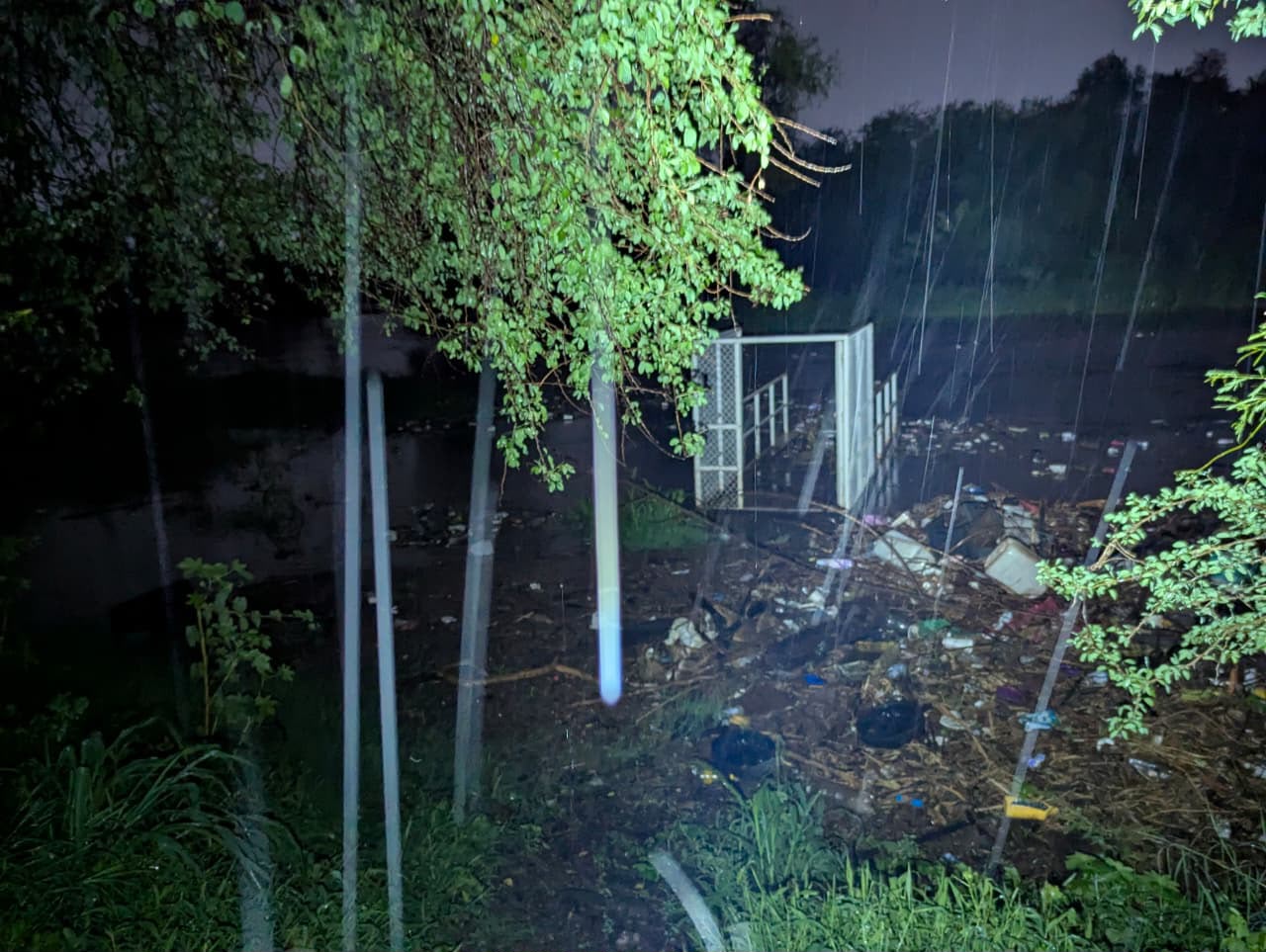 Plantas de Japac afectadas por lluvias