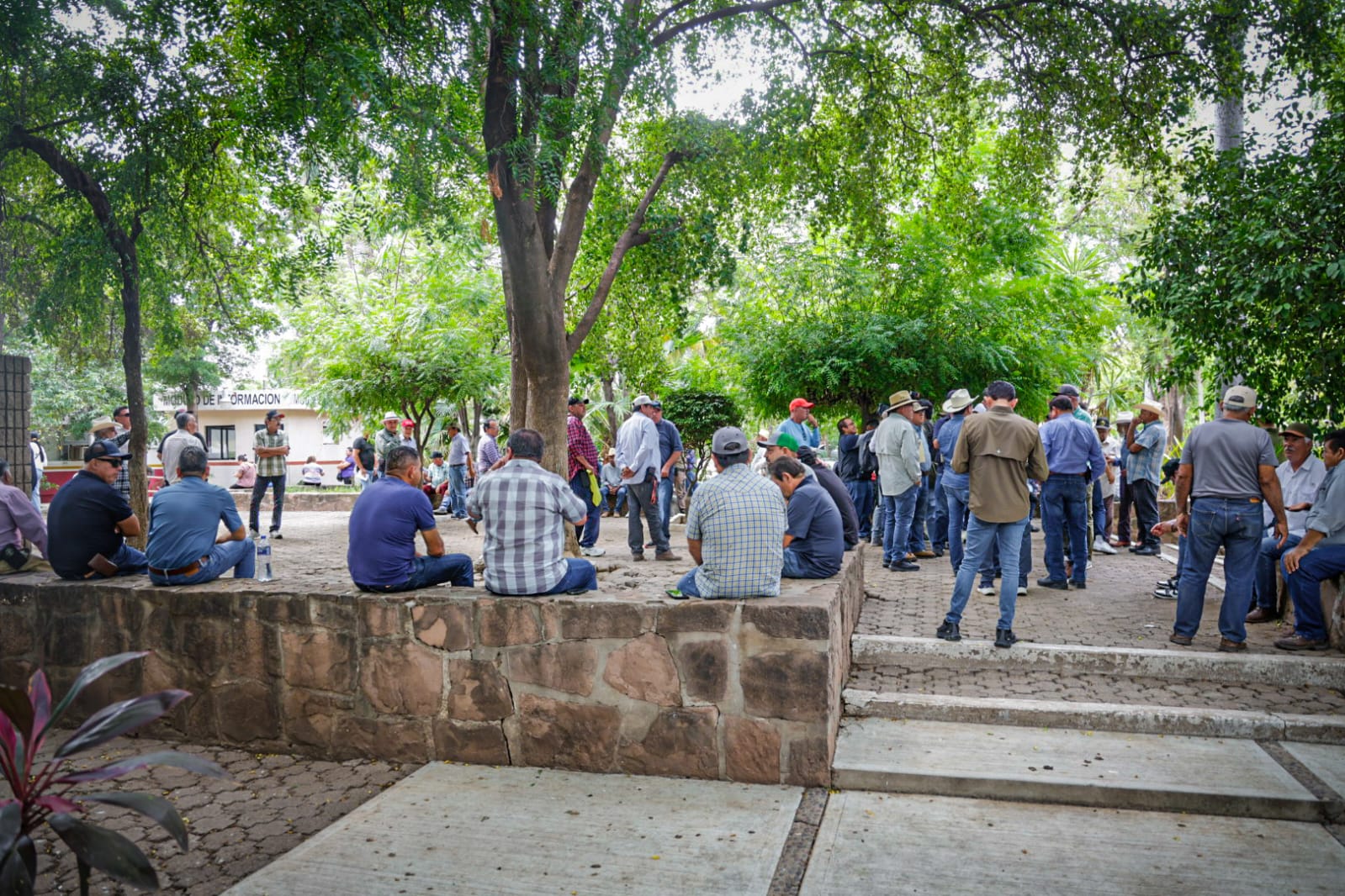 Planton de productores en Sader en Culiacán