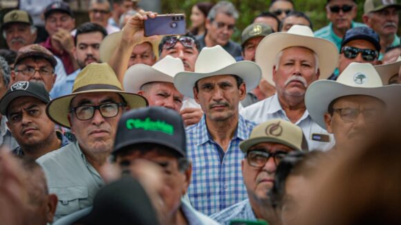 Condonan cerca de 500 millones de pesos a productores de Sinaloa, tras liquidación de FND